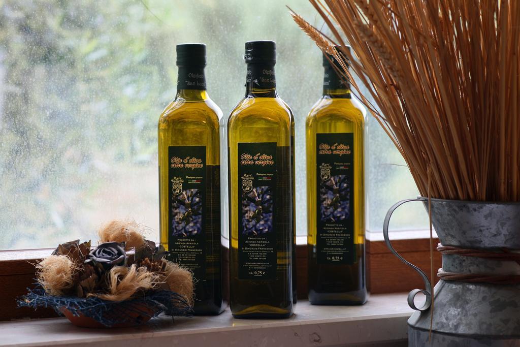 Agricostella Agriturismo 维耶斯泰 外观 照片
