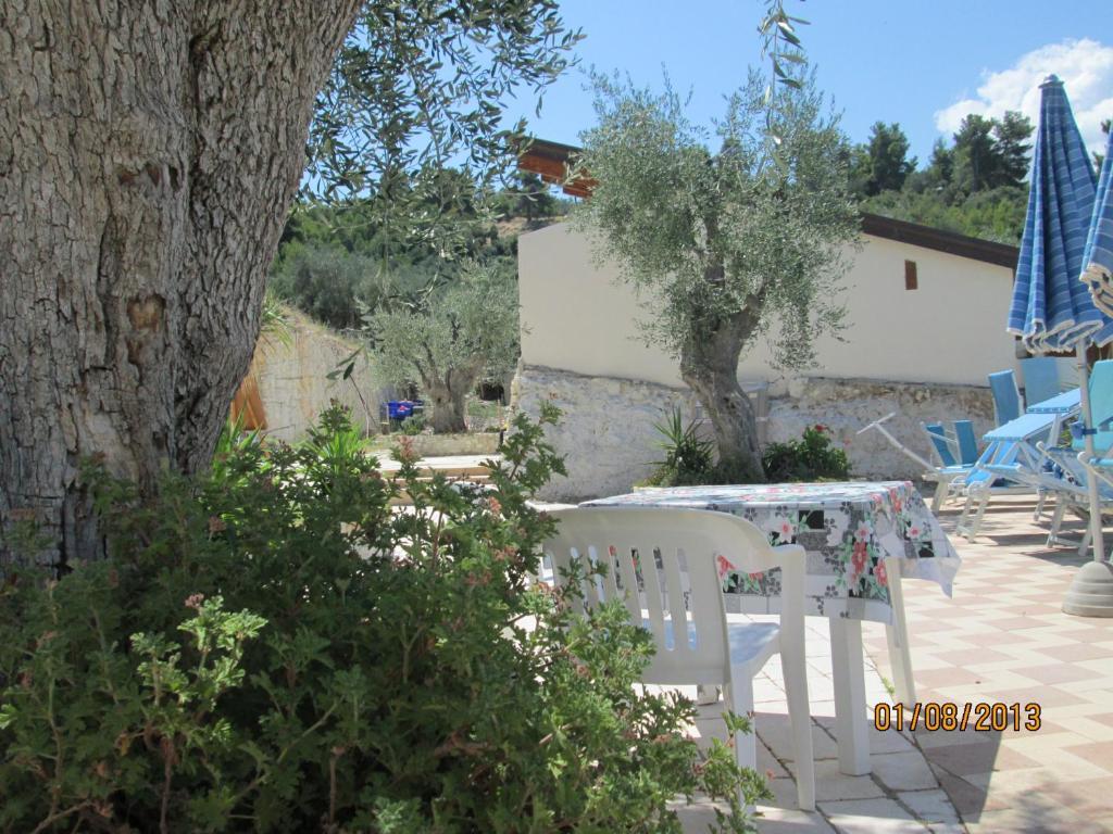 Agricostella Agriturismo 维耶斯泰 外观 照片